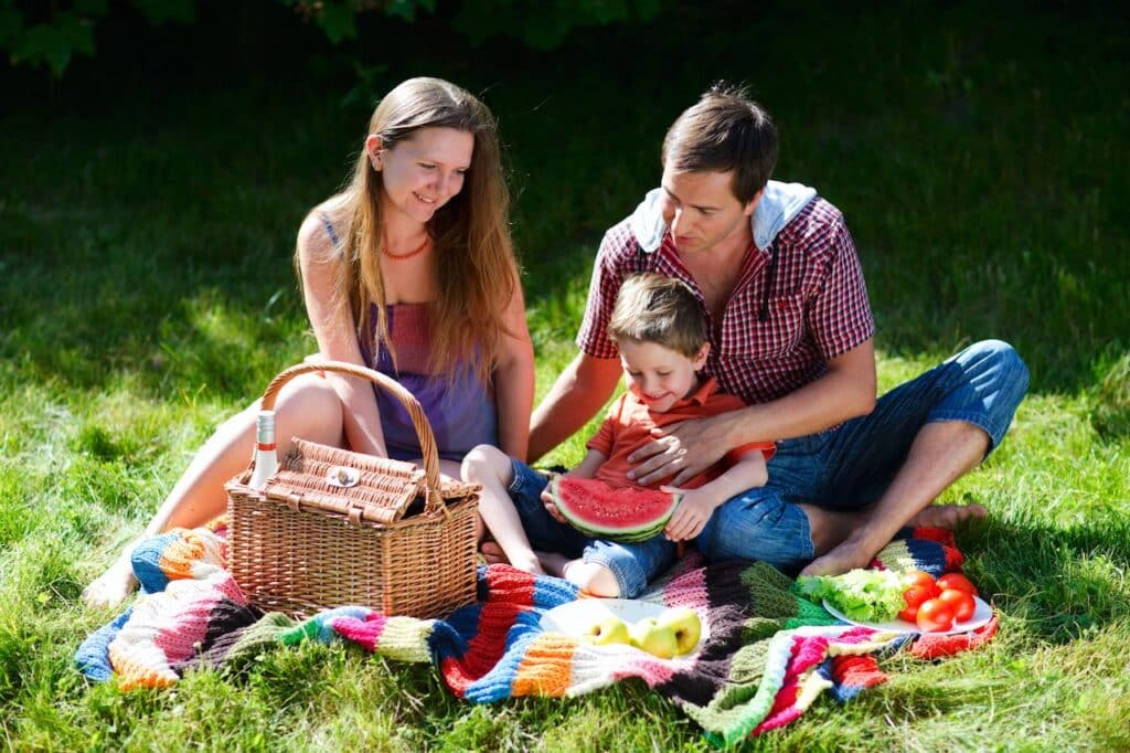 Family Picnic 