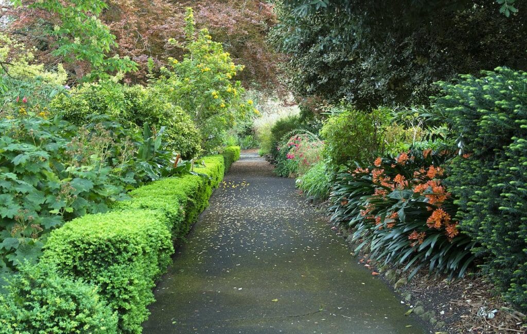 Garden Pathway 