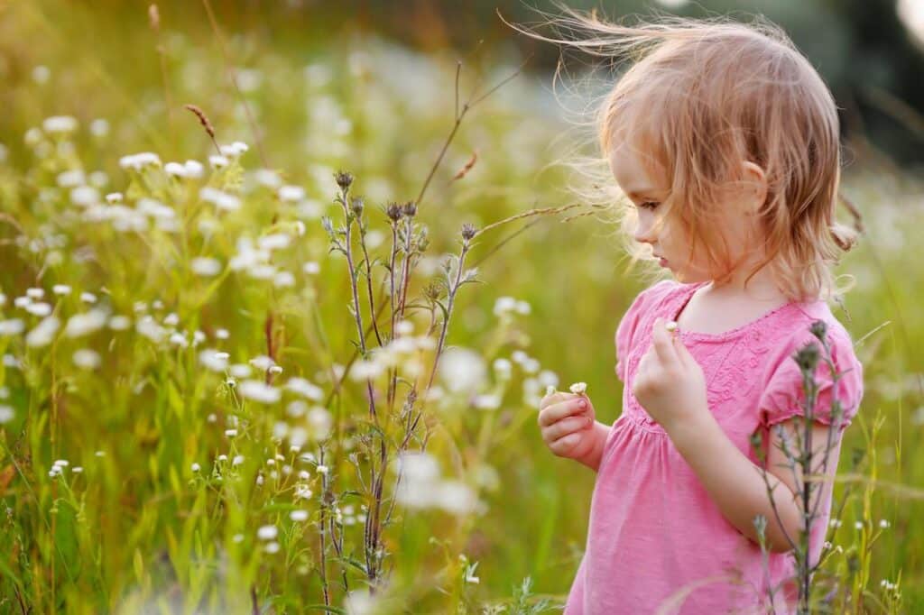 Kid Picking Flower During Spring