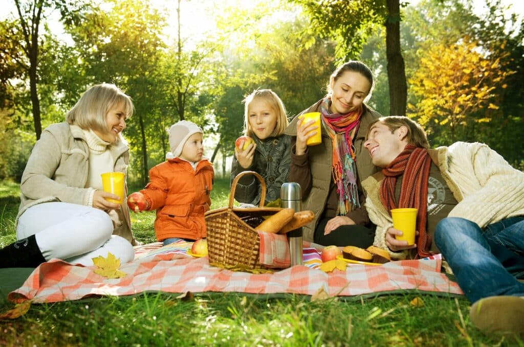 Picnics are the New Party 